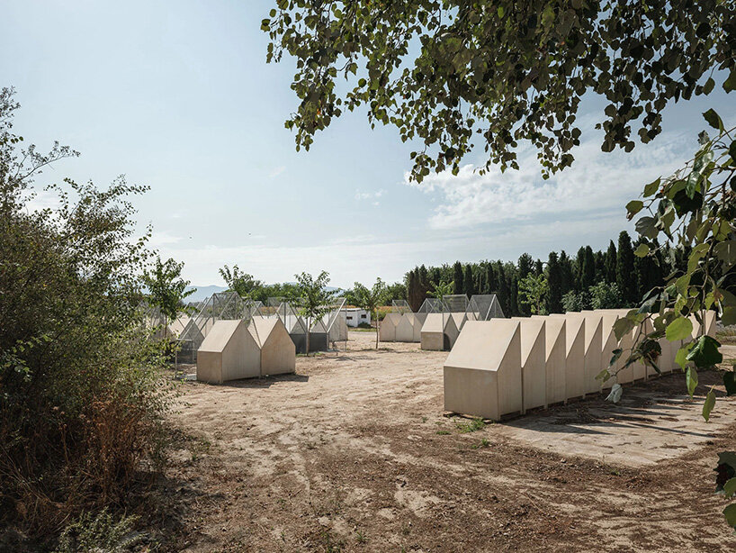 by aligning the dog houses with recreation yards, the shelter becomes a dynamic city for dogs