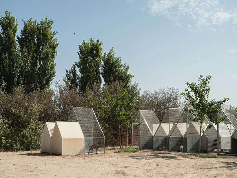 offering opportunities for outdoor play and social interaction 