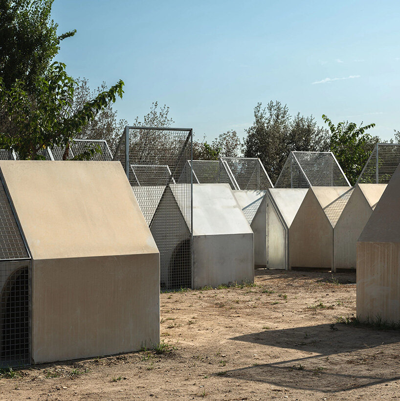 allowing direct and empathetic connections