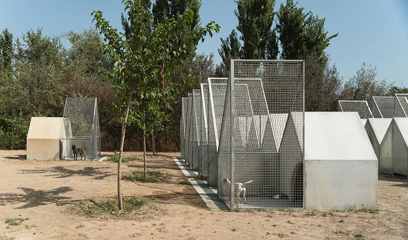 allowing direct and empathetic connections between visitors and residents