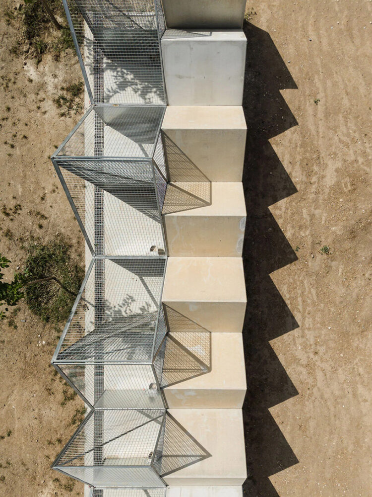 transparent layouts enable animals to perceive the outside world 