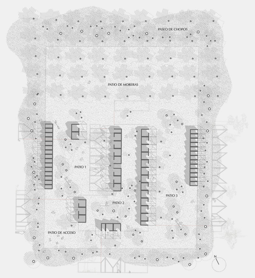 plan by Serrano + Baquerro