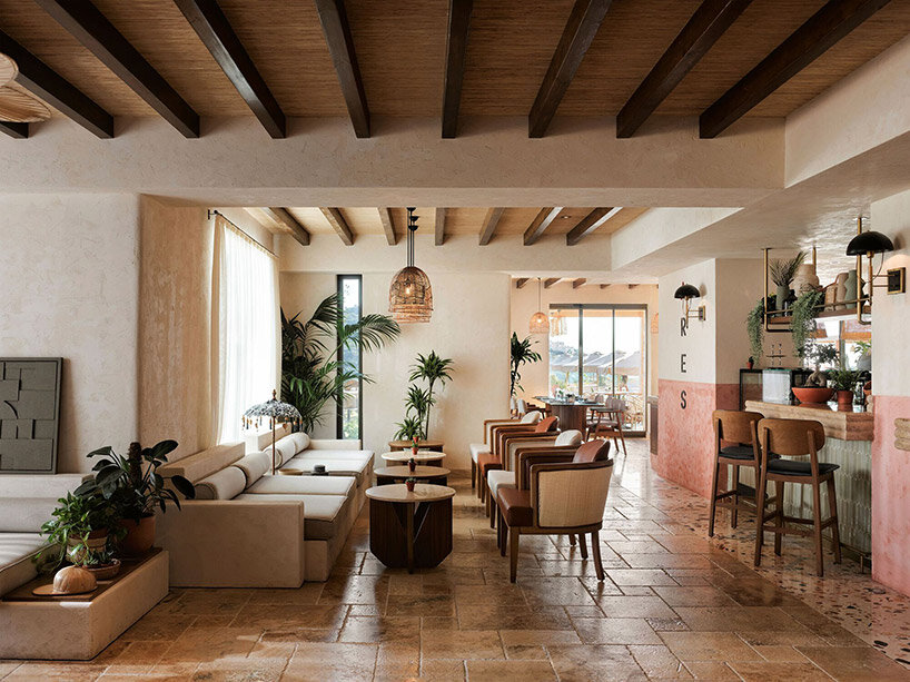 öznur çağlayan turkey