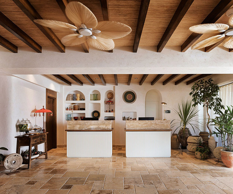 öznur çağlayan turkey