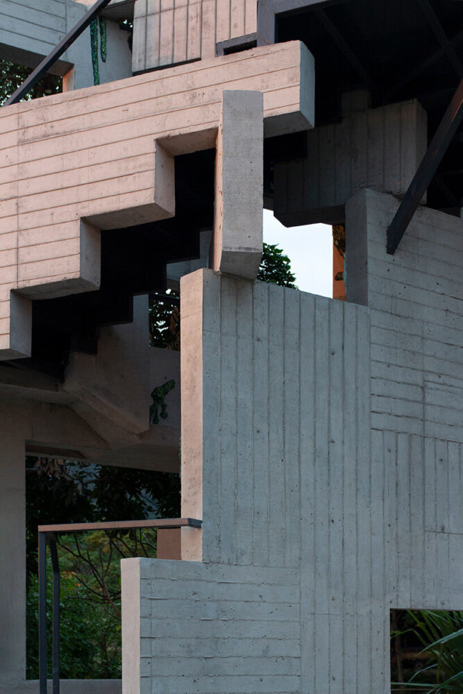 a juxtaposition between the artificial and the organic