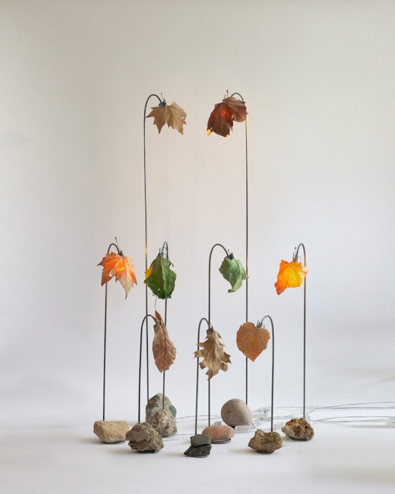 TOP 10 reader 2024 design products