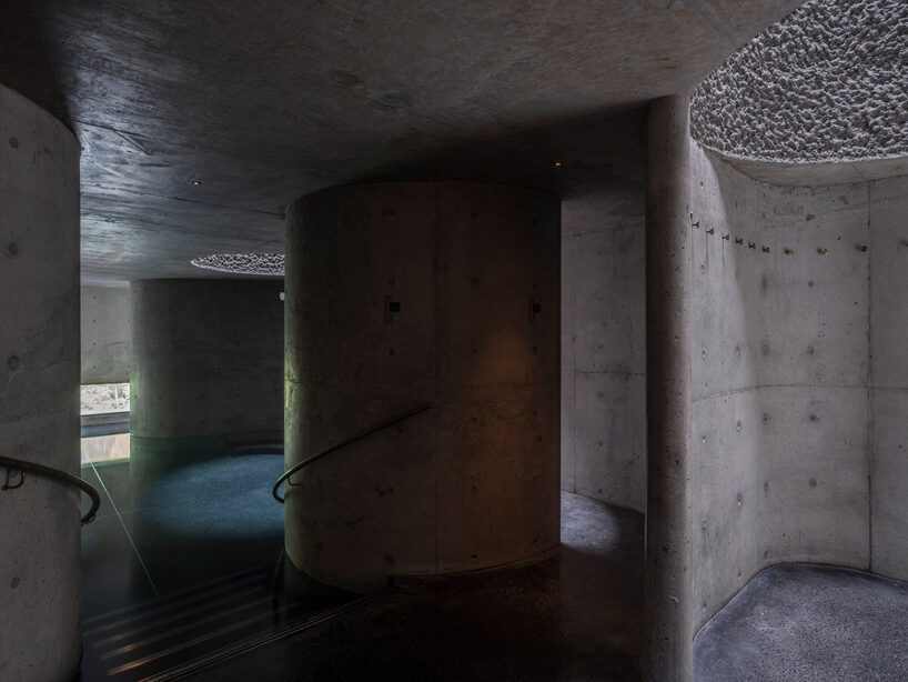 image © Tian Fangfang