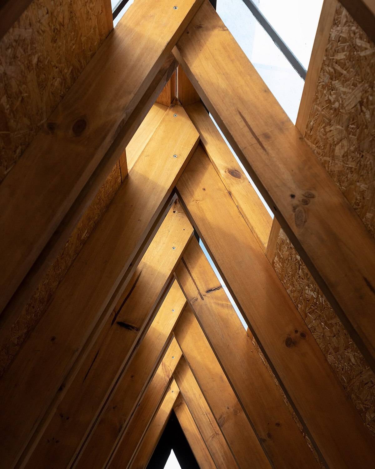 image © JAG Studio