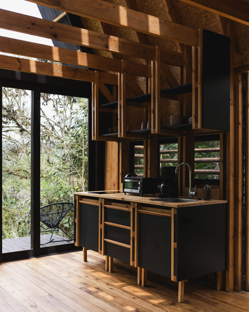 image © Isabel Delgado