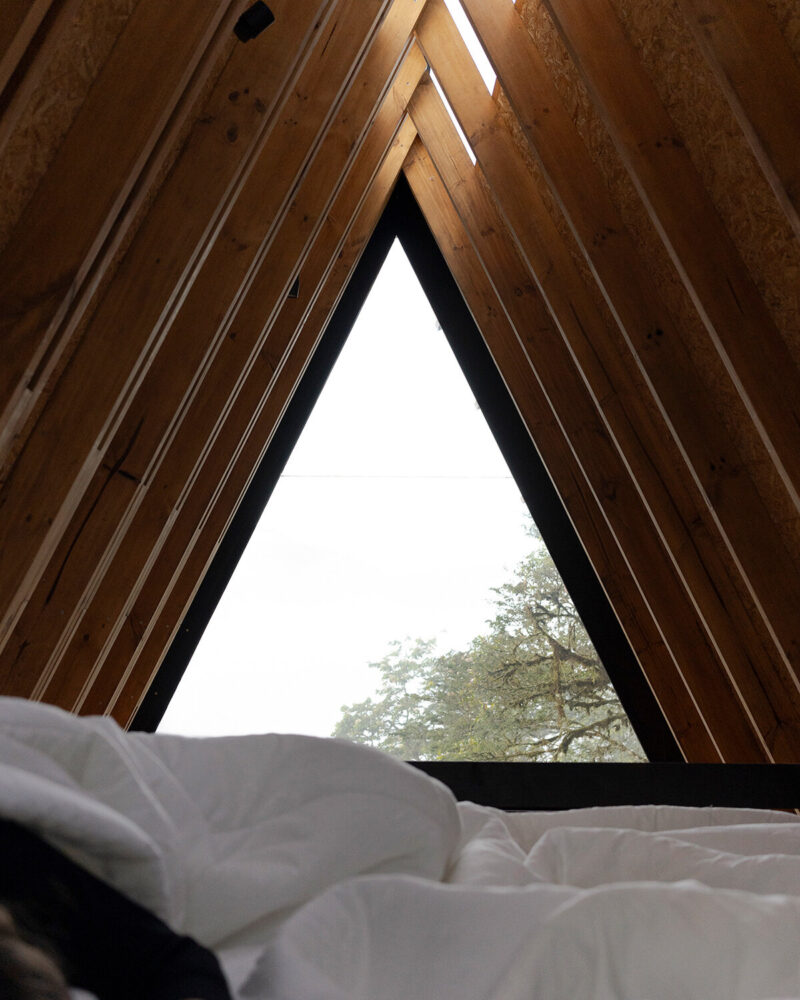 image © Isabel Delgado