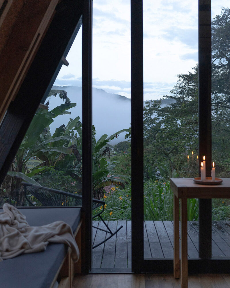 image © Isabel Delgado