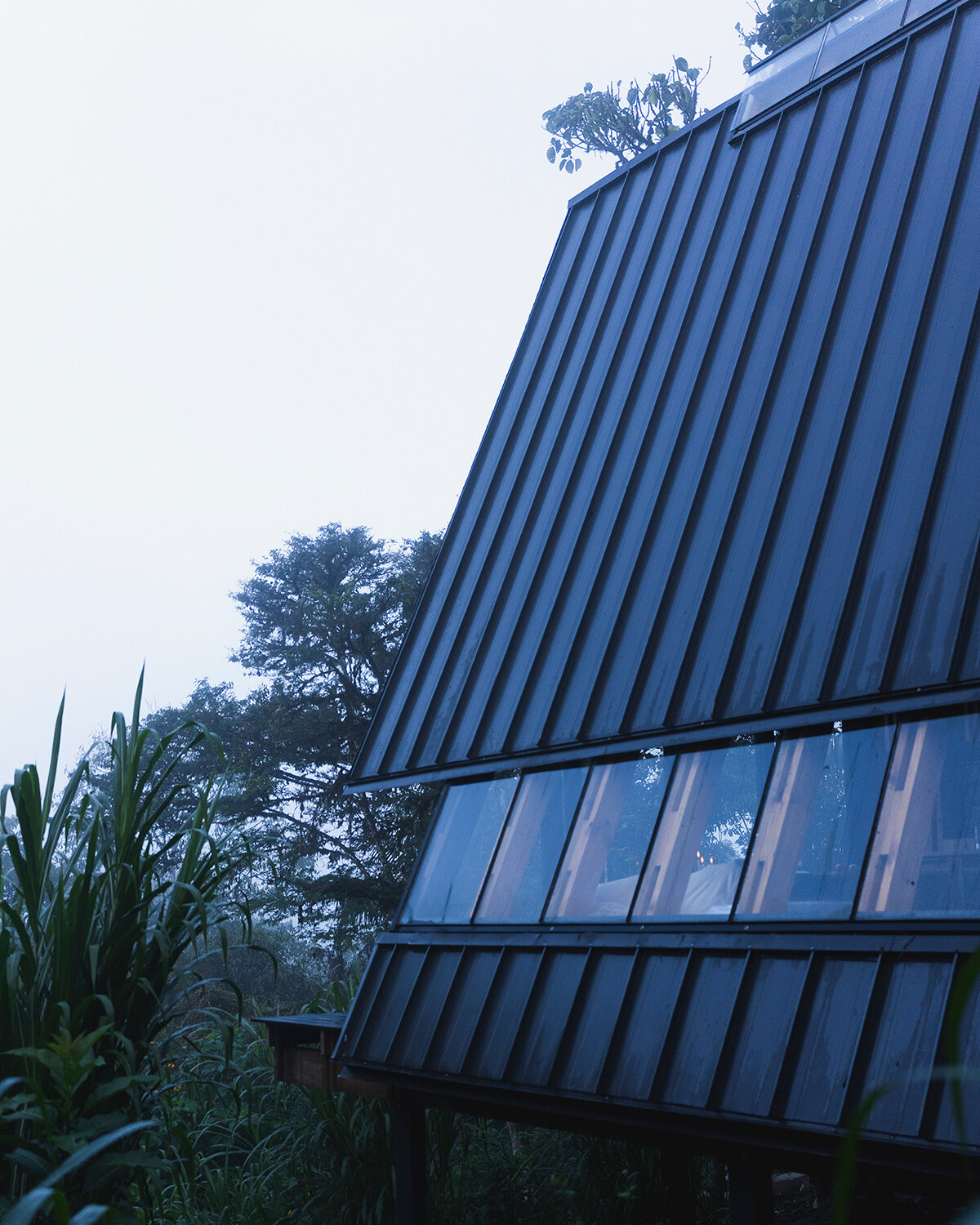 image © Isabel Delgado