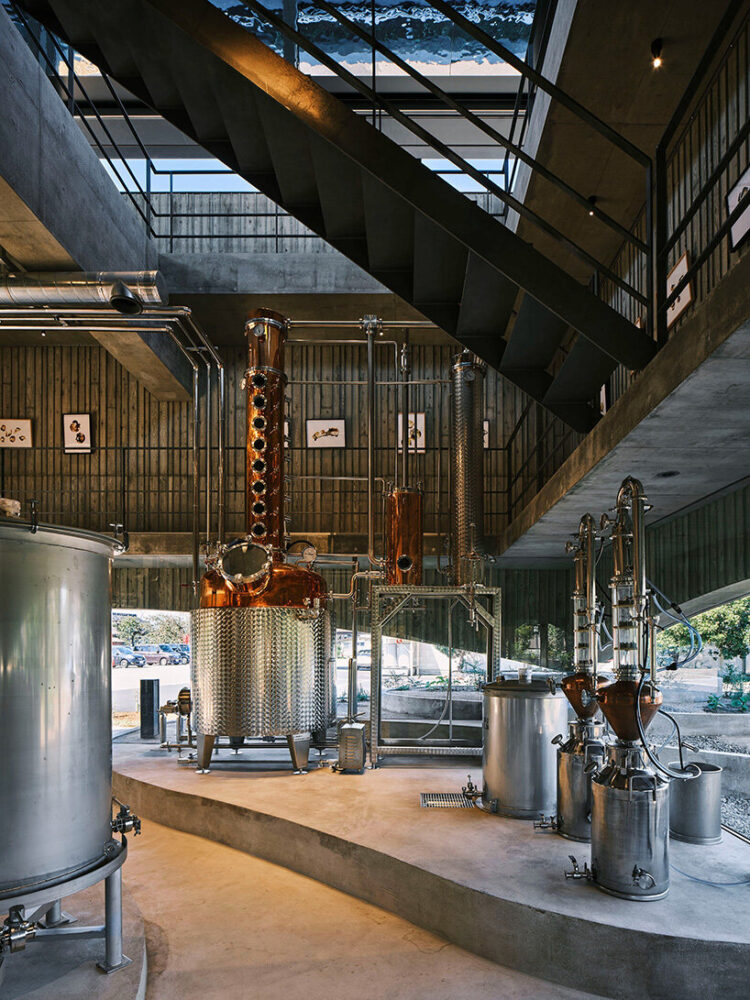utilizing alcohol produced during the fermentation process to craft gin