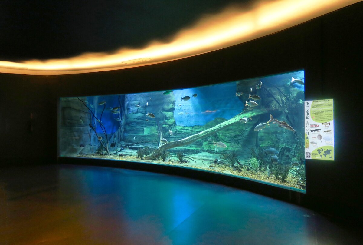 paul clemence captures vivid hues & geometries of ruy ohtake's bioparque pantanal in brazil