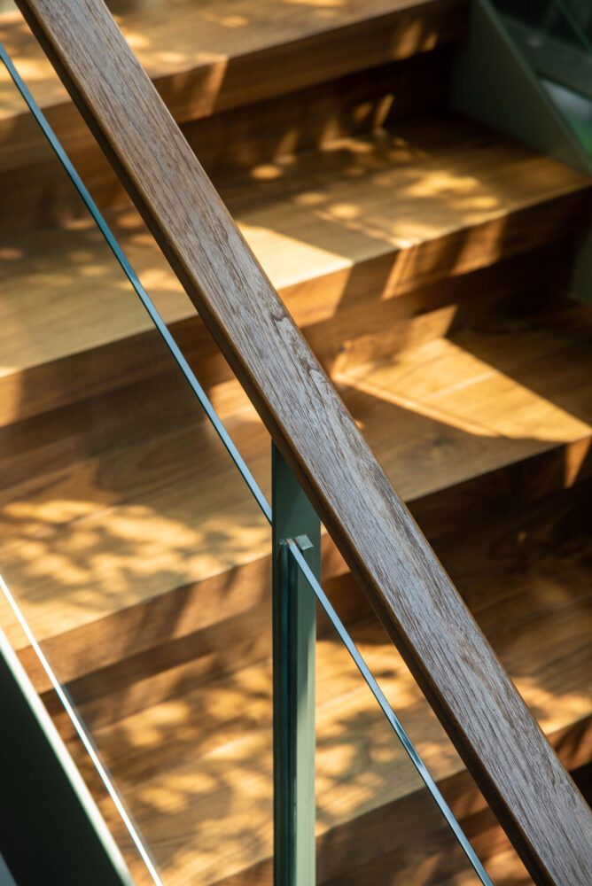 image by Arturo Arrieta