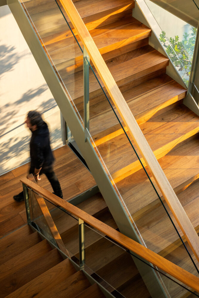 vertical circulation and strategic voids create a sense of flow within the structure