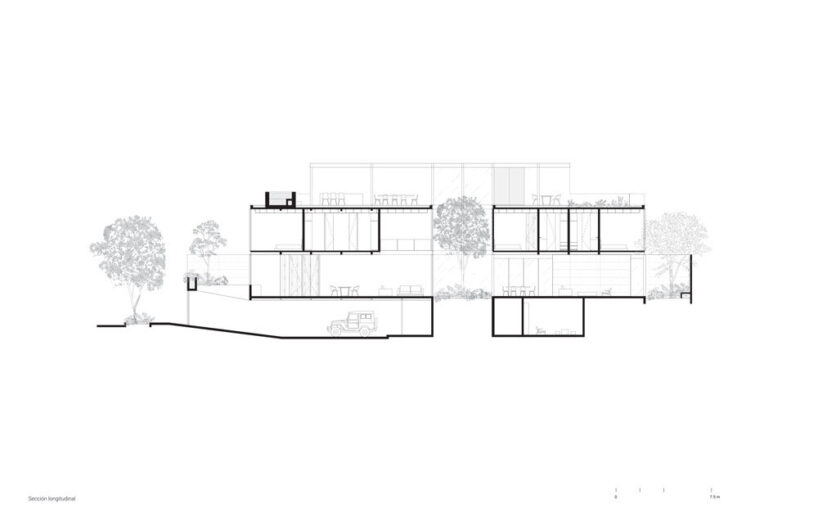 longitudinal section