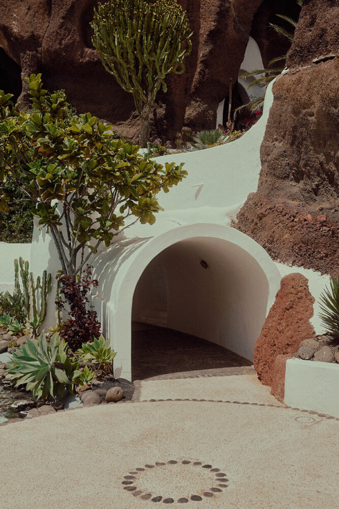 using light and shadow to emphasize its organic forms