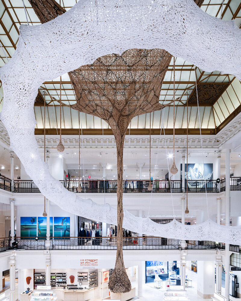 Neto connects the serpent’s imagery to universal symbols of renewal, spirituality, and connection