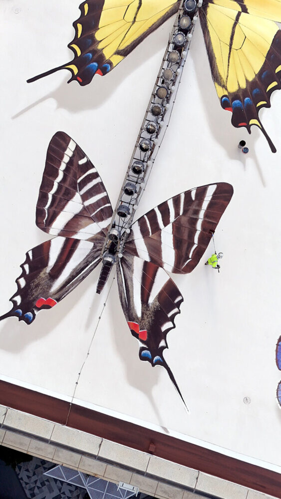 designed to appear as though the specimens are gently perched on the rooftop