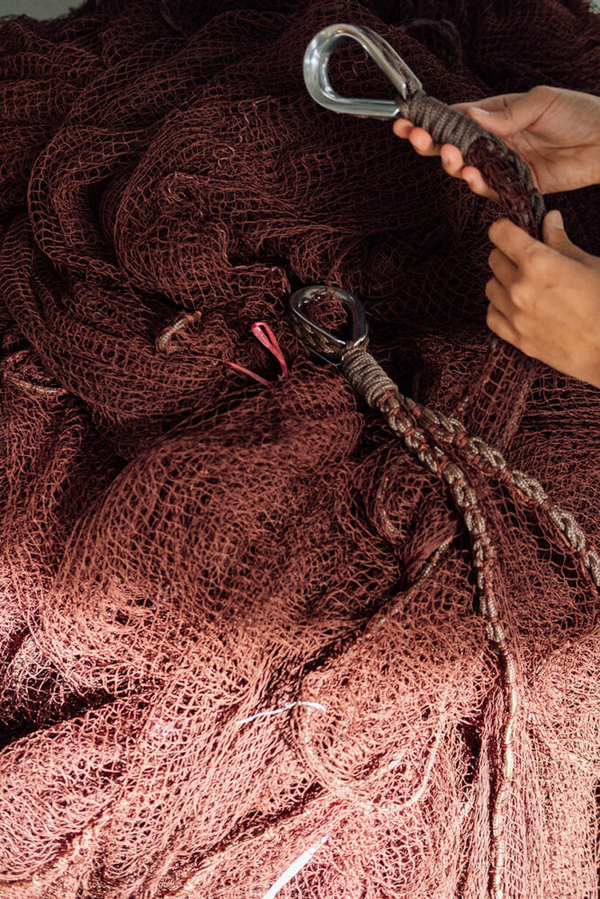 image by José Guilherme Marques 