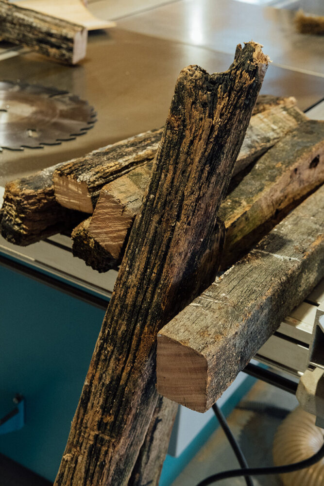 image by José Guilherme Marques 