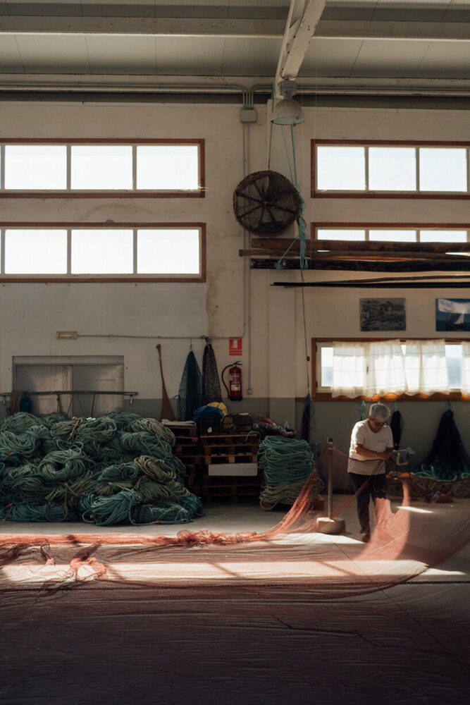 image by José Guilherme Marques 