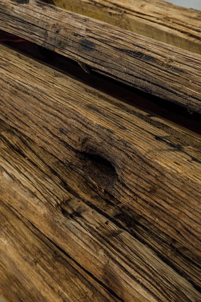 image by José Guilherme Marques 