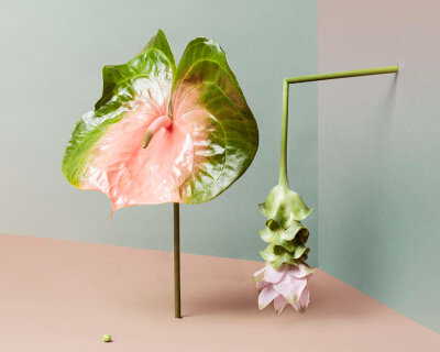 from yinka ilori to miguel chevalier, flower sculptures & digital gardens bloom in london