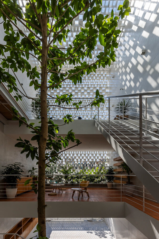 a ten-meter White Champak tree planted in the front yard creates a verdant focal point