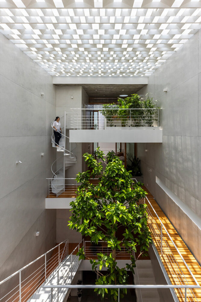 on the ground floor, private rooms and play areas establish a solid base