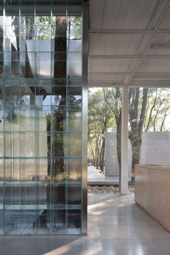 looking to the park outside