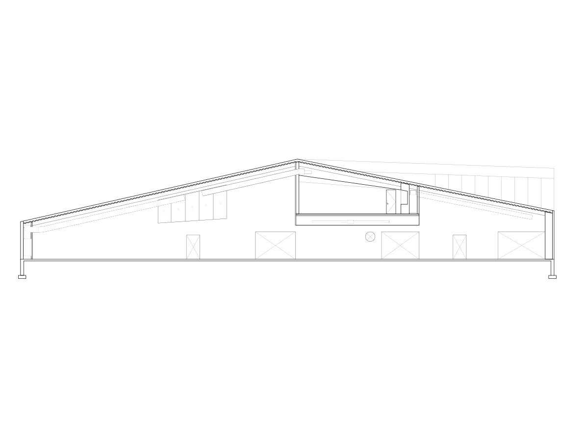 section