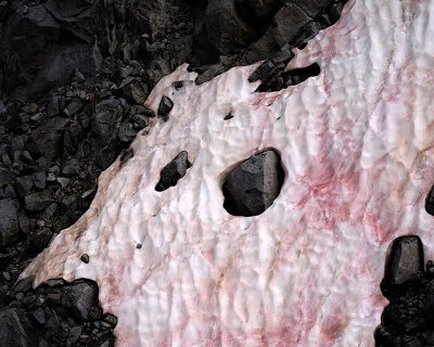 thomas wrede's photography series captures fragile glacier landscapes
