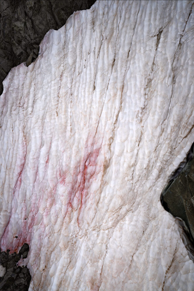 Thomas Wrede, Presena Gletscher, Blutschnee #3, 2020 | Courtesy of Bernhard Knaus Fine Art, Frankfurt am Main ©Thomas Wrede, VG Bild-Kunst, Bonn