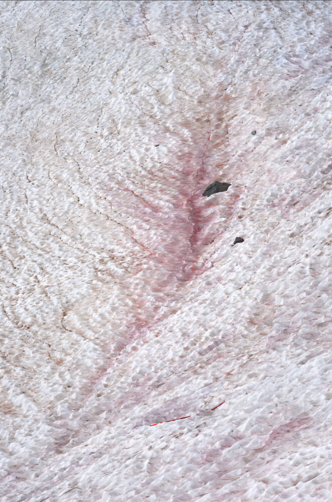 Thomas Wrede, Presena Gletscher, Blutschnee #5, 2020 | Courtesy of Bernhard Knaus Fine Art, Frankfurt am Main ©Thomas Wrede, VG Bild-Kunst, Bonn
