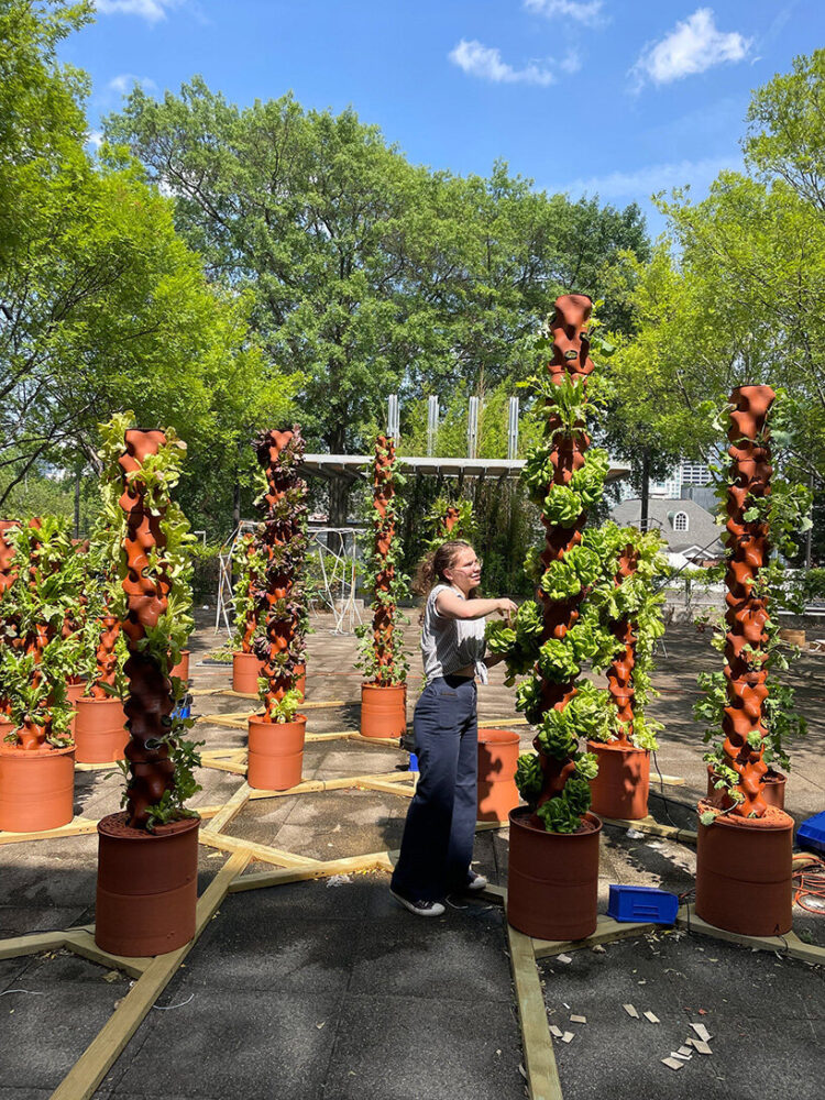 a deeper human connection with nature