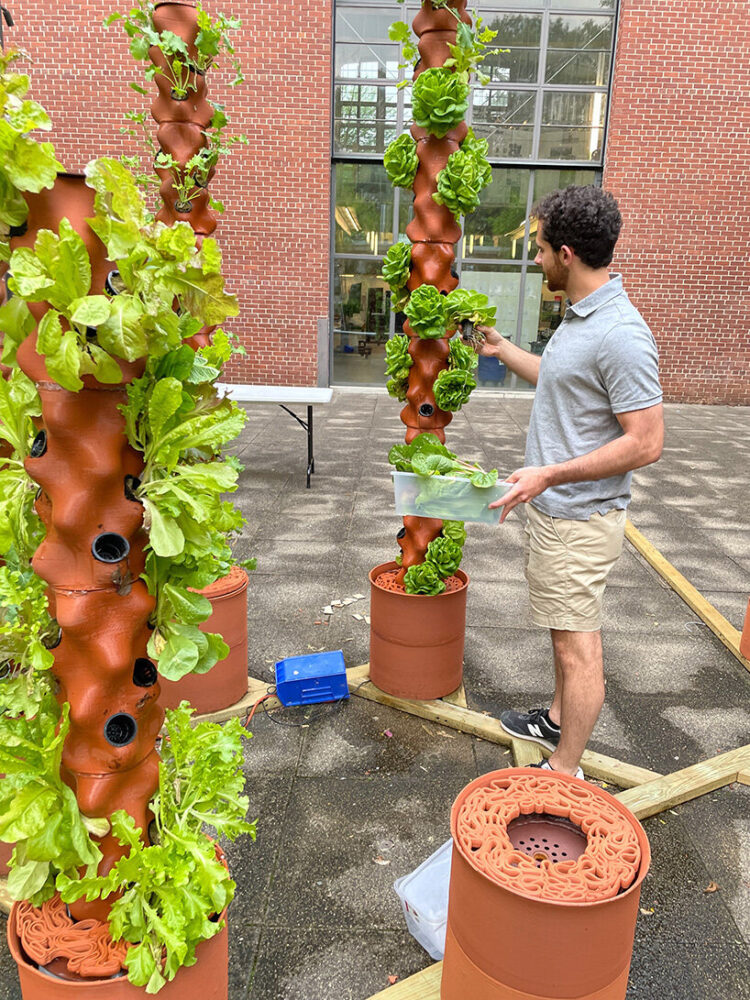 the project opens up new possibilities for urban farming