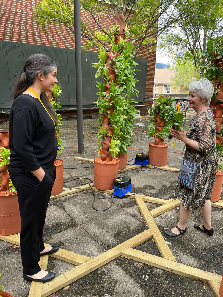 people breathe in the scent of herbs and flowers