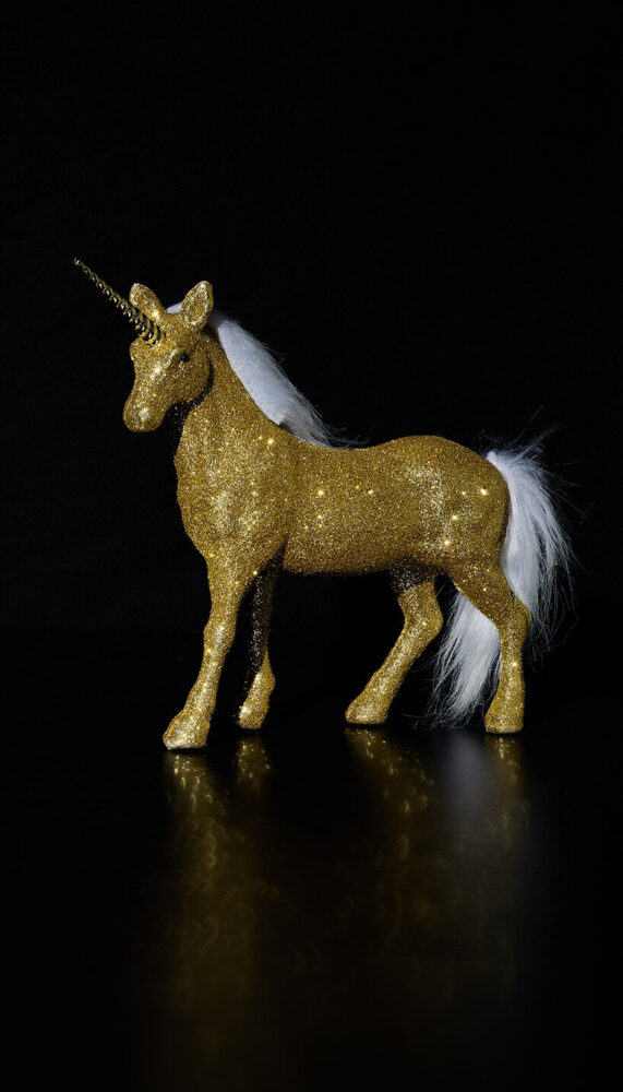 Glitter unicorn, 2019, Mathilda, age 7 image by MK&G/Roman Mishchuk
