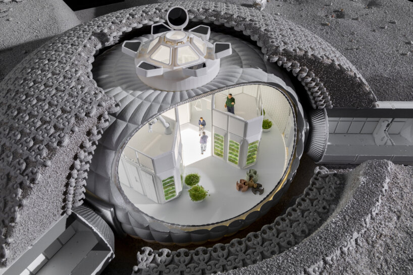 earth space festival