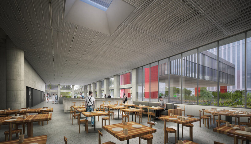 visualization courtesy MASP