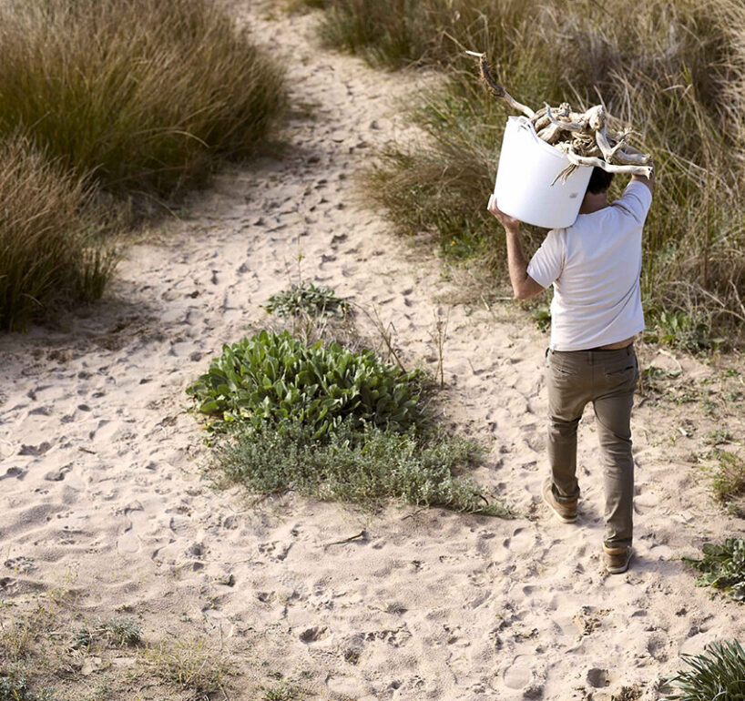Héctor picking up roots dragged by the DANA from the beaches of Valencia