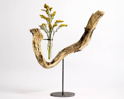 hector serrano repurposes roots, branches, and plant debris into sculptural flower vases