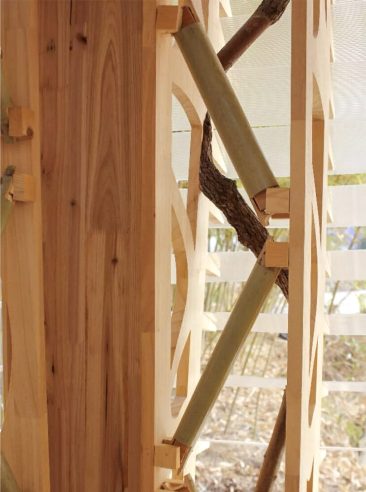 thoughtful openings bring the space to life