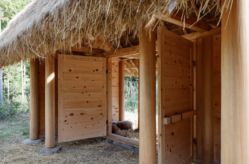 the door divides the land in two in order for the shepherd to identify the sheep's genetics