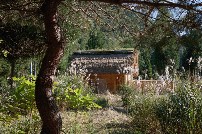 the architecture studio 2m26 constructs the main structure from natural cypress logs