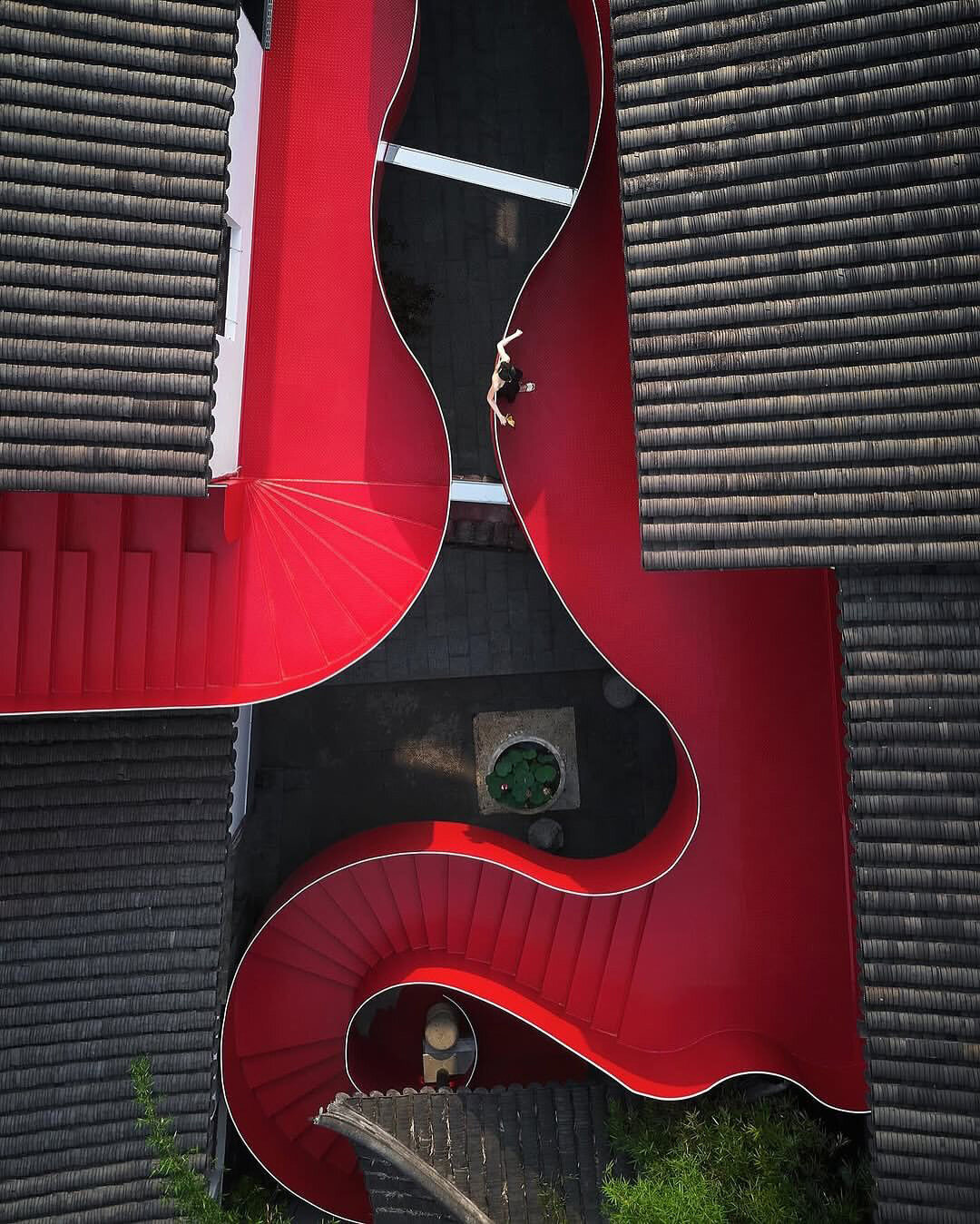 dayi design red lobster