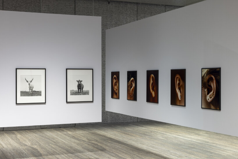 german photography fondazione prada