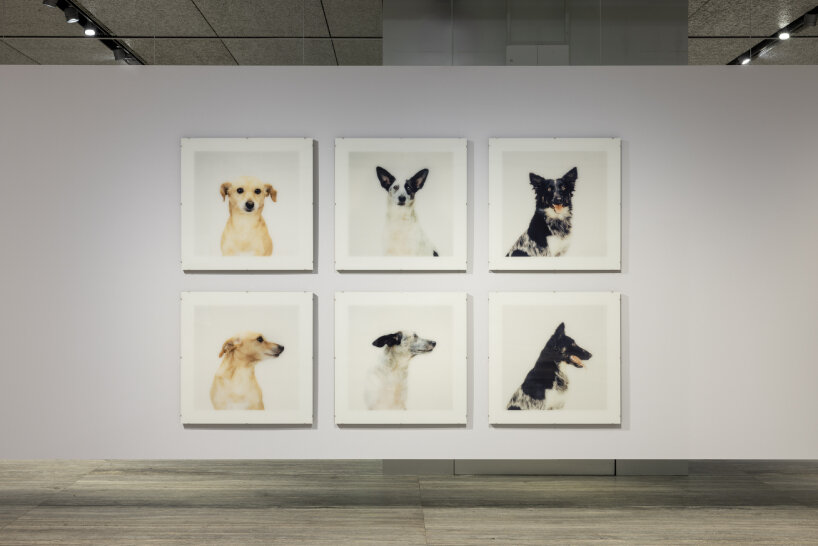 german photography fondazione prada